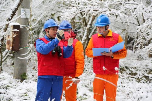 成都电力爆料事件最新,揭秘背后真相与行业反思